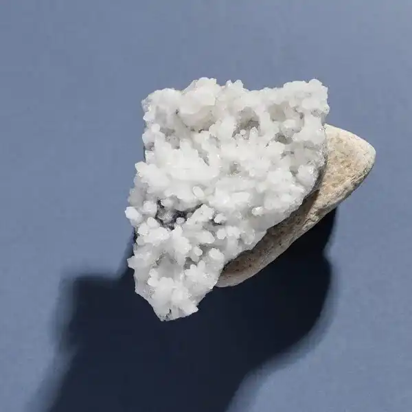 products-quality-purity-nigtas-Oct-2026