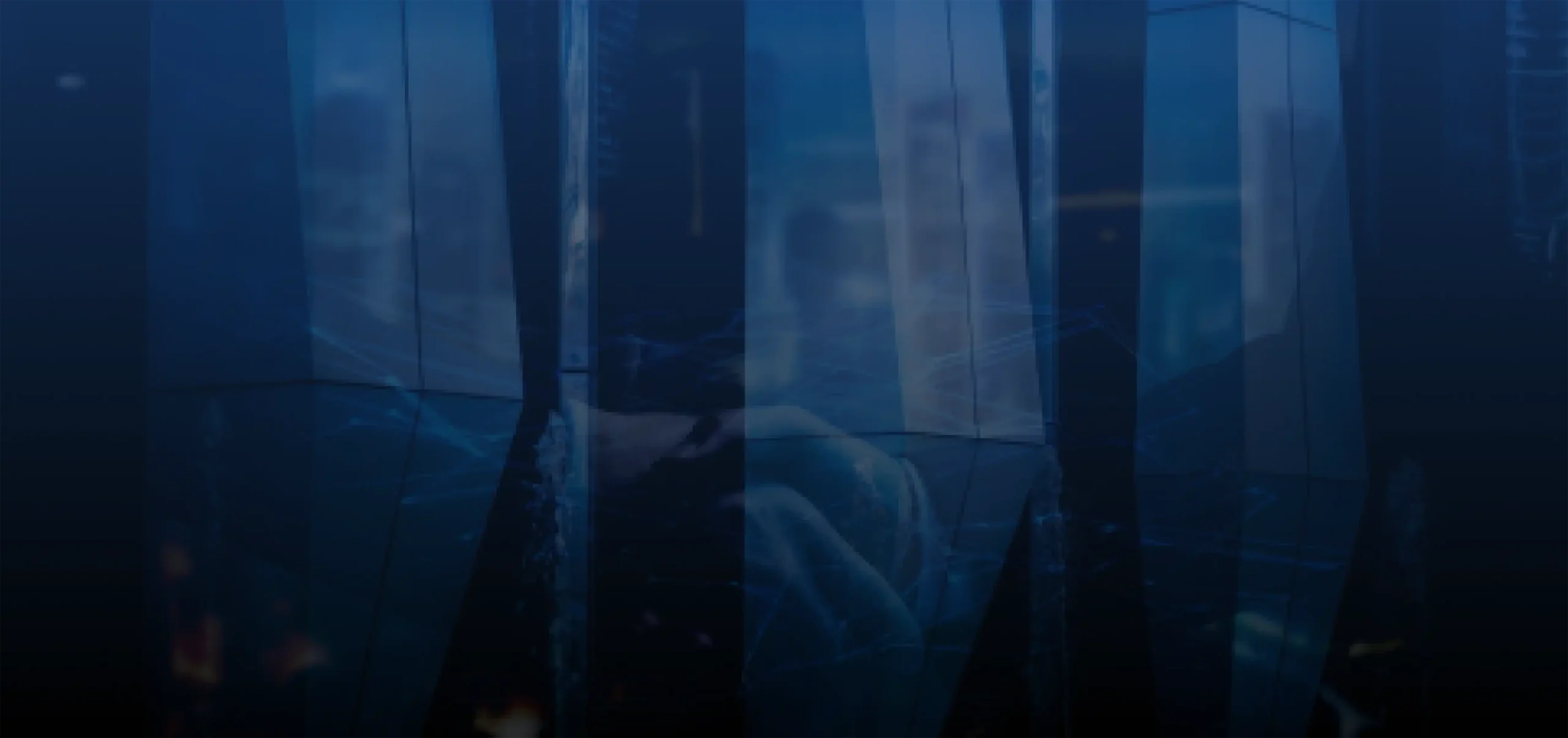 background-image-nigtas-website