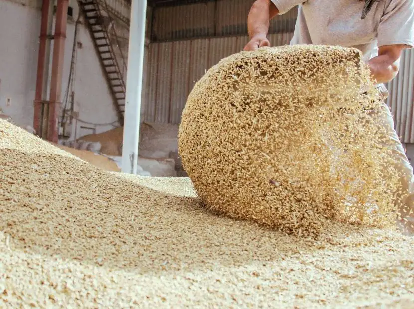 Feed Additives