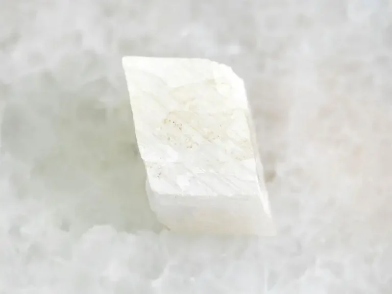 nigtas macro photograph talk calcium carbonate 2025