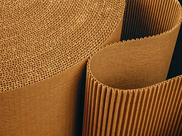 image of Paper and Cardboard for nigtas website.