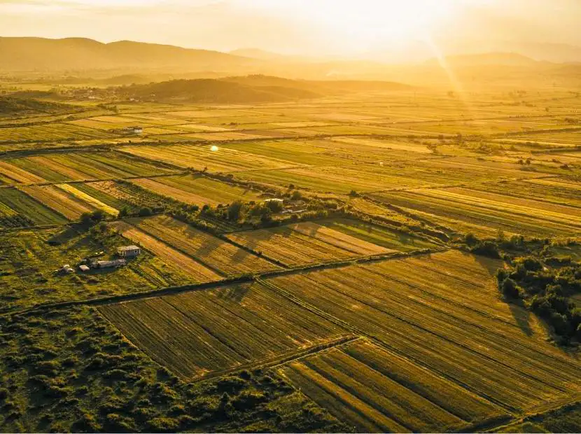 nigtas soil conditioning liming website